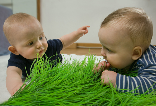Babygruppe I